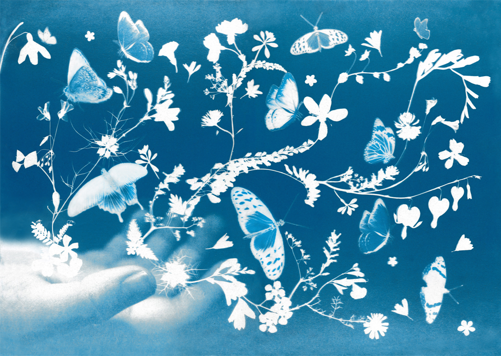 EmilyArnoldFineArt 01 Belper AT 26